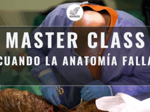 Master Class en video: CUANDO LA ANATOMÍA FALLA