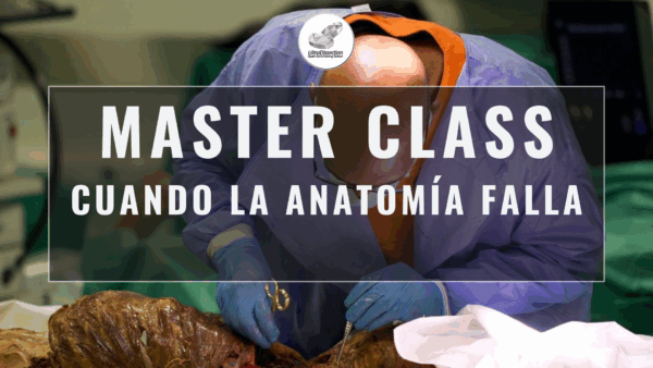 Masterclass 5 | Cuando la Anatomía Falla