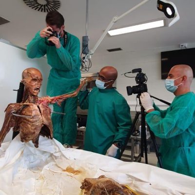 UPA-UltraDissection-Gallery- (11)